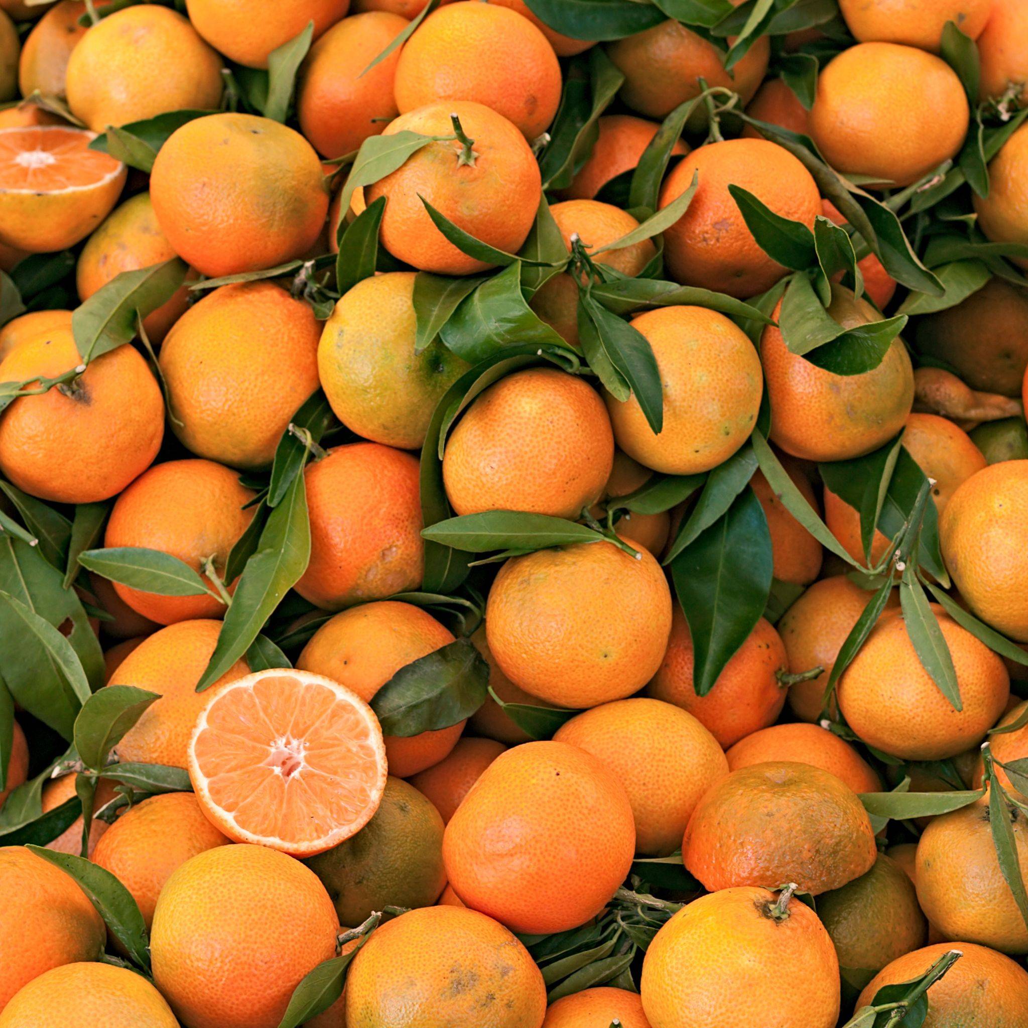 Clémentines de Corse Livraison à domicile Neary